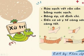 Đắp thuốc nam trị rắn cắn, trẻ 10 tuổi nguy kịch: xử lý đúng cách nào?