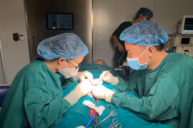 Người đàn ông không có tinh trùng vẫn có 2 con sinh đôi khoẻ mạnh