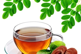 Cách dùng nấm linh chi trị huyết áp, tim mạch, tiểu đường