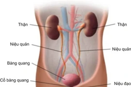 Bỏ dở điều trị bệnh thận mạn tính, trẻ sẽ tử vong