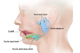 Cách khắc phục viêm tuyến nước bọt khi điều trị ung thư tuyến giáp