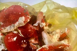 Mua nấm đỏ ngoài chợ về ăn, bệnh nhân 37 tuổi bị ngộ độc suy thận cấp