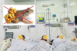 Thịt cóc ăn chữa còi xương 3 mẹ con nhập viện cấp cứu