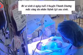 Thay máu toàn phần, kịp thời cứu trẻ sơ sinh 6 ngày tuổi