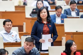Bộ trưởng Đào Hồng Lan trả lời tại Kỳ họp thứ 5, Quốc hội khóa XV