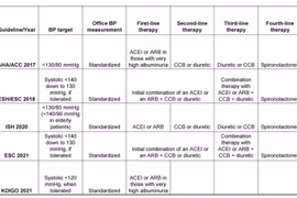 Chiến lược điều trị tăng huyết áp ở bệnh nhân có bệnh thận mạn năm 2023