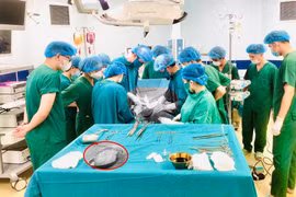 Cứu sản phụ rau tiền đạo, rau cài răng lược xuyên bàng quang cực nguy hiểm