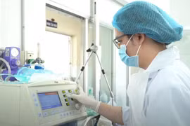 Câu cá ở gần đường dây điện, 3 người bị bỏng nặng toàn thân