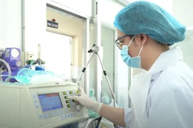 Câu cá ở gần đường dây điện, 3 người bị bỏng nặng toàn thân