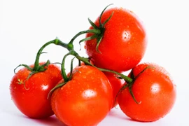 Lý giải cà chua giúp ngừa thiếu máu não hiệu quả