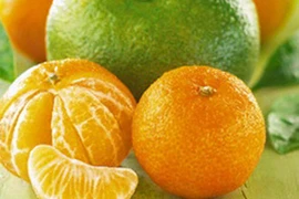 Ăn uống đúng cách cho người thiếu máu não