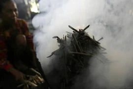 Món ngon kỳ quái trên thế giới