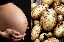 Bà bầu ăn khoai tây dễ mắc chứng tiểu đường
