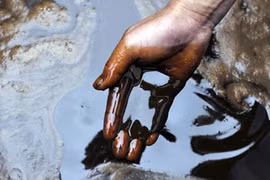 Những scandal gây rúng động về dầu ăn từ nước cống 