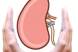 10 cách bảo vệ thận khẩn cấp trước khi quá muộn