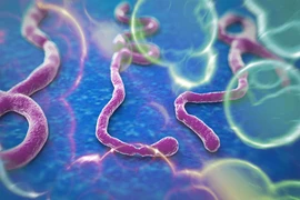 Phát hiện bệnh nhân nhiễm Ebola đầu tiên tại Mỹ 
