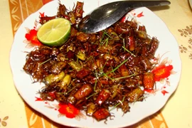 Những món tuyệt ngon từ... côn trùng