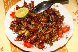 Những món tuyệt ngon từ... côn trùng