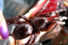 Cận cảnh đặc sản "vừa ăn vừa che miệng" Campuchia