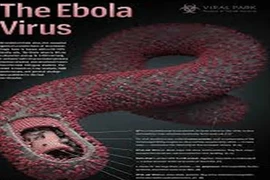 Khách từ Mỹ và Tây Ban Nha chưa cần khai báo y tế