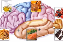 Top thực phẩm bổ não giúp phòng bệnh mất trí nhớ 