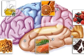 Top thực phẩm bổ não giúp phòng bệnh mất trí nhớ 