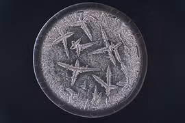 Cấu trúc kì diệu bên trong giọt nước mắt con người