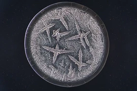 Cấu trúc kì diệu bên trong giọt nước mắt con người