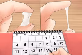 5 cách tính ngày rụng trứng thuận tiện nhất cho chị em
