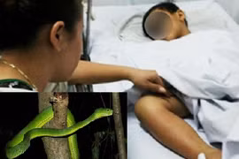 Suýt mất mạng vì thần dược chữa rắn cắn của thầy lang