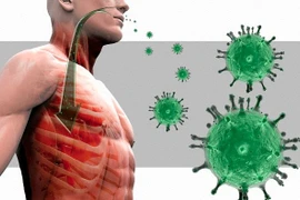 Cảnh báo virus giống SARS có thể gây đại dịch sau Ebola