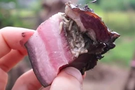 Bật ngửa với những món ăn lúc nhúc giòi mới đạt chuẩn tuyệt phẩm