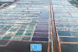 FMC điều chỉnh giảm mạnh kế hoạch năm 2023 do kinh doanh khó khăn 