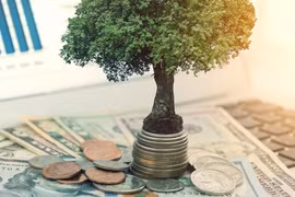 Có nên lựa chọn các doanh nghiệp có cổ tức cao?