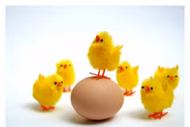 Dự báo tuổi phát tài phát lộc của 12 con giáp