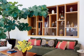 Những vị trí trồng cây phong thủy hút tài lộc trong nhà