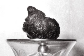 “Trái tim bất diệt” của Bồ-tát Quảng Đức hiện ở đâu?