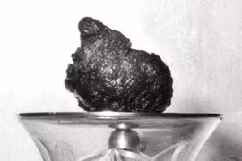 “Trái tim bất diệt” của Bồ-tát Quảng Đức hiện ở đâu?