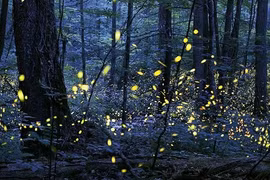 10 bí ẩn khủng khiếp của nhân loại thách thức khoa học lý giải