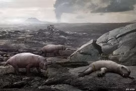 8 cuộc đại tuyệt chủng kinh hoàng suýt “xóa sổ” Trái Đất 