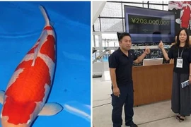 Những con vật được giới siêu giàu săn lùng có giá đắt hơn... siêu xe