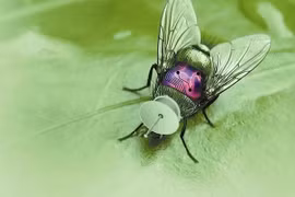 Top 10 vũ khí tương lai thông minh hơn cả... con người 