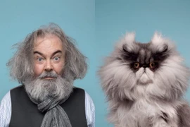 Những bức ảnh động vật hài hước chứng minh... chủ nào tớ nấy