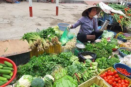 Sau Tết, nhiều người đi chợ “ngã ngửa” khi nghe báo giá