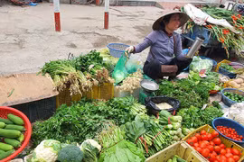 Sau Tết, nhiều người đi chợ “ngã ngửa” khi nghe báo giá