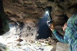 Khai phá hang động bị phong ấn, phát hiện hài cốt kỳ quái