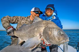 Tiếng cá giao phối khiến dân mất ngủ, rung cả nhà cửa