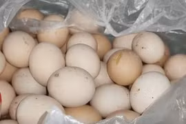 Nhớ đừng bảo quản trứng trong tủ lạnh, làm theo 2 tuyệt chiêu này