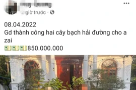 Bạch hải đường rớt giá thảm, cơn sốt đã đến hồi kết