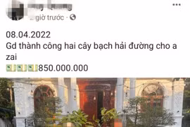 Bạch hải đường rớt giá thảm, cơn sốt đã đến hồi kết